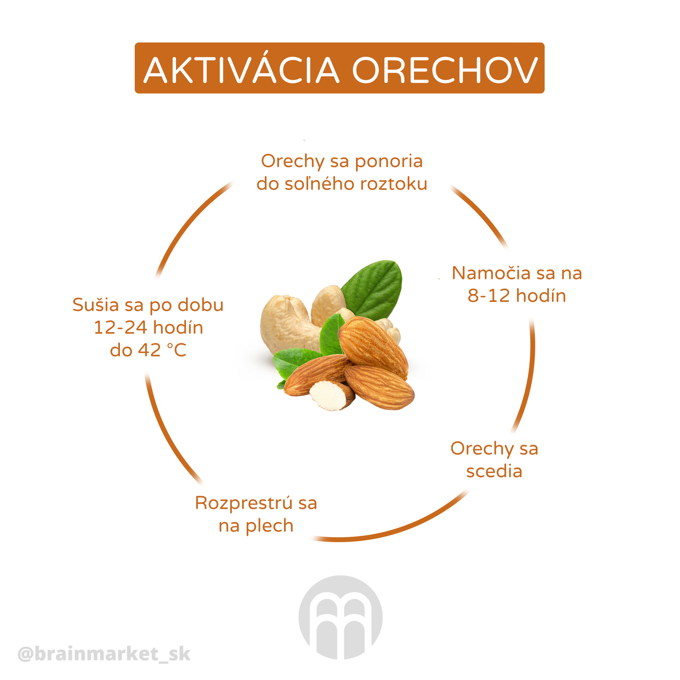 aktivace_orechu_infografika_brainmarket_cz